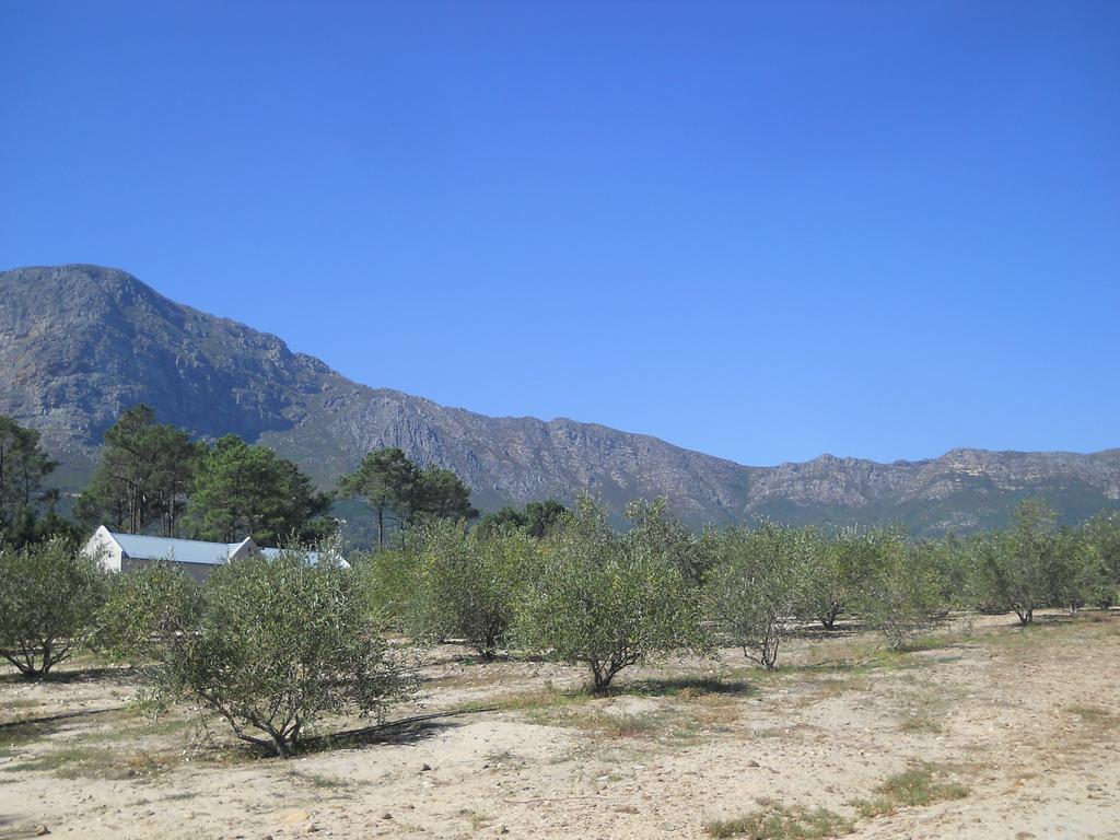 Auberge Clermont Franschhoek Zewnętrze zdjęcie