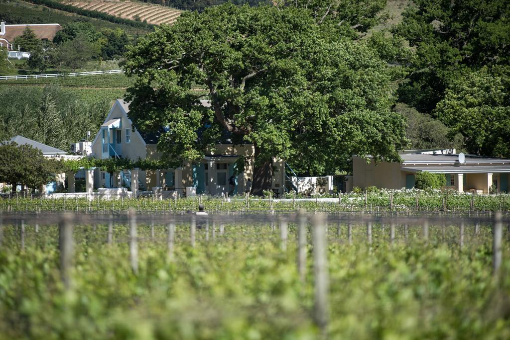 Auberge Clermont Franschhoek Zewnętrze zdjęcie