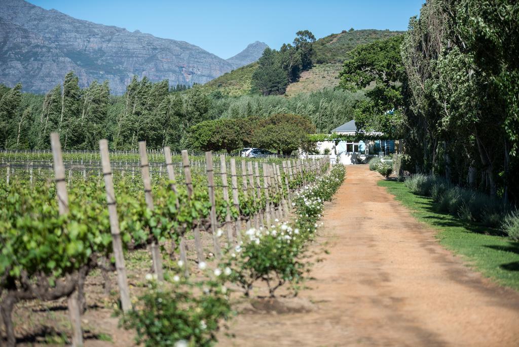 Auberge Clermont Franschhoek Zewnętrze zdjęcie