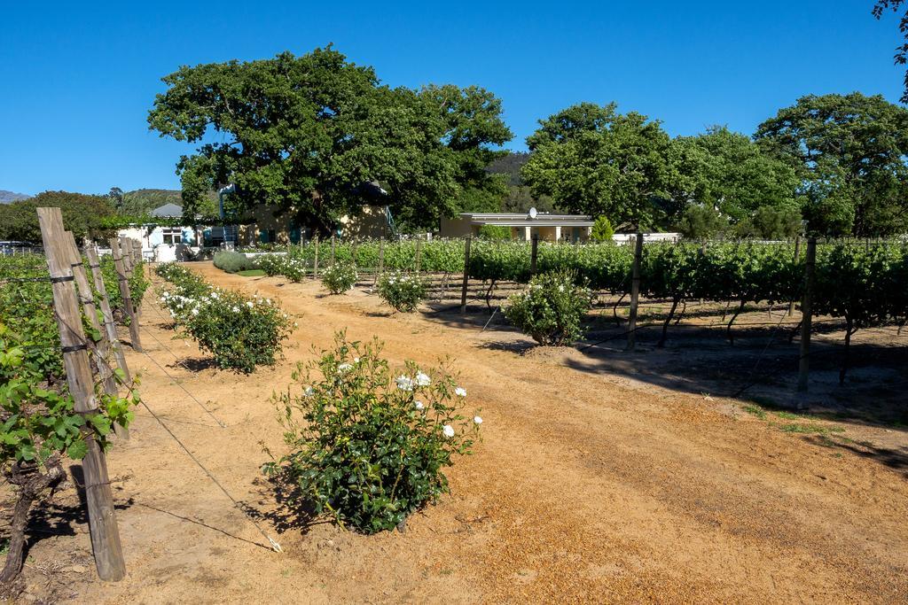 Auberge Clermont Franschhoek Zewnętrze zdjęcie