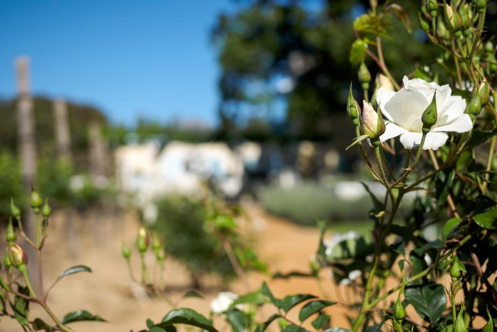 Auberge Clermont Franschhoek Zewnętrze zdjęcie