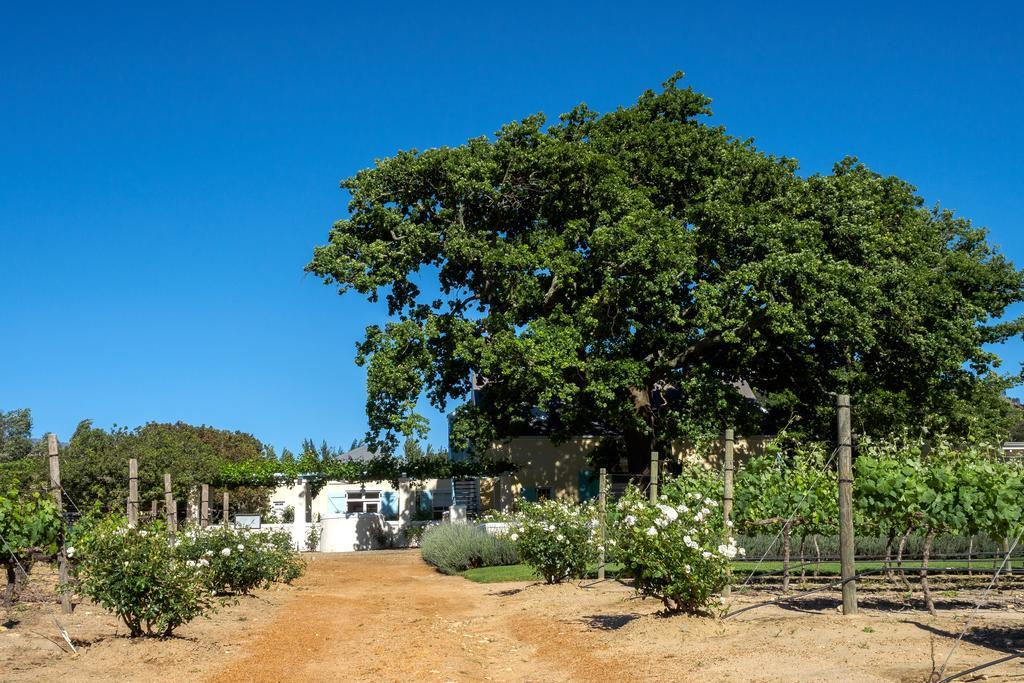 Auberge Clermont Franschhoek Zewnętrze zdjęcie