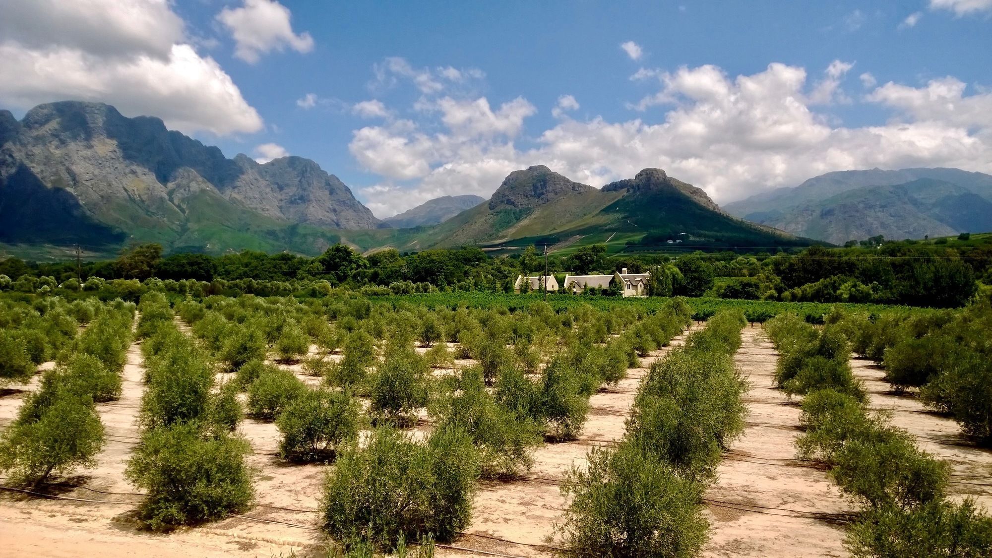 Auberge Clermont Franschhoek Zewnętrze zdjęcie