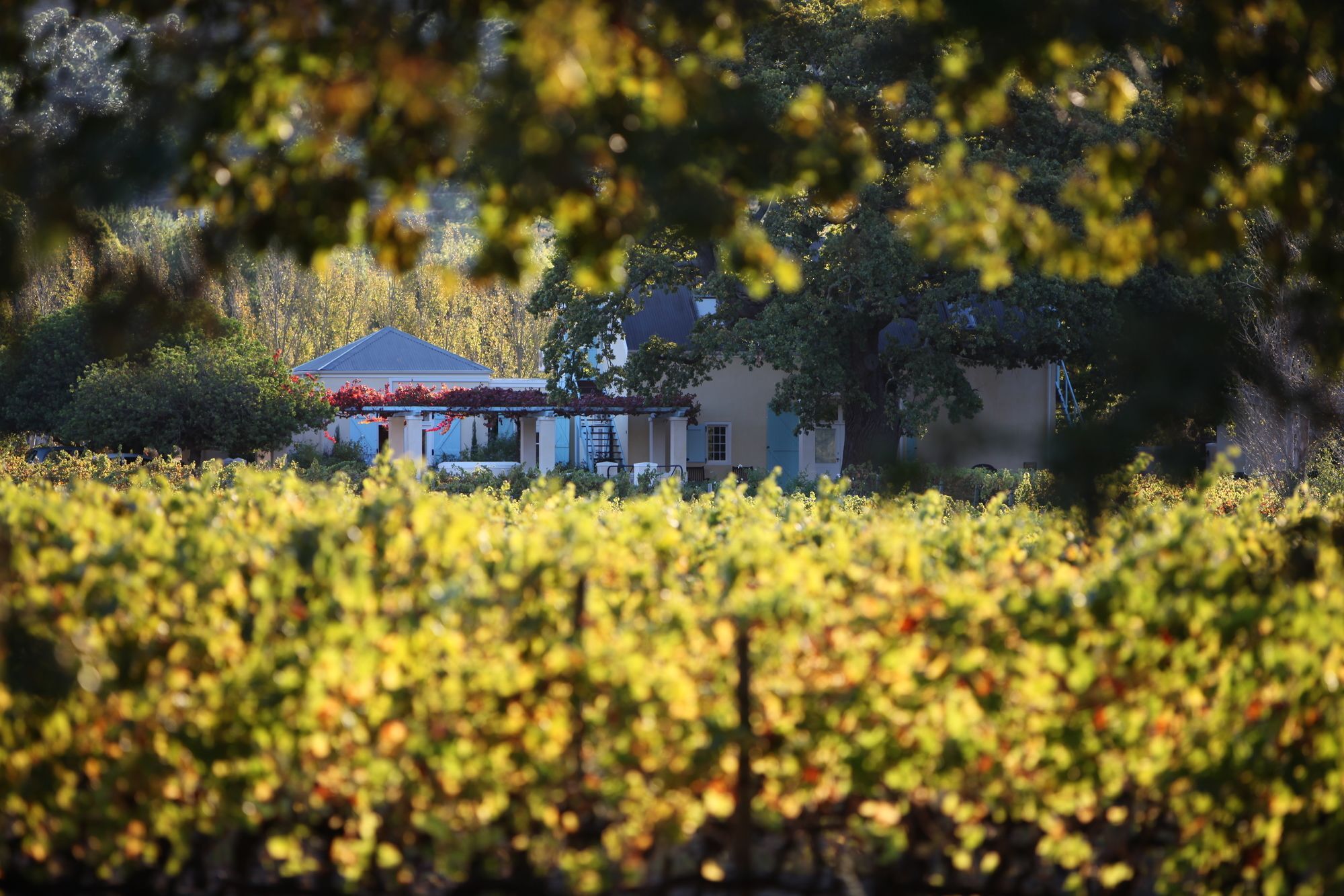Auberge Clermont Franschhoek Zewnętrze zdjęcie