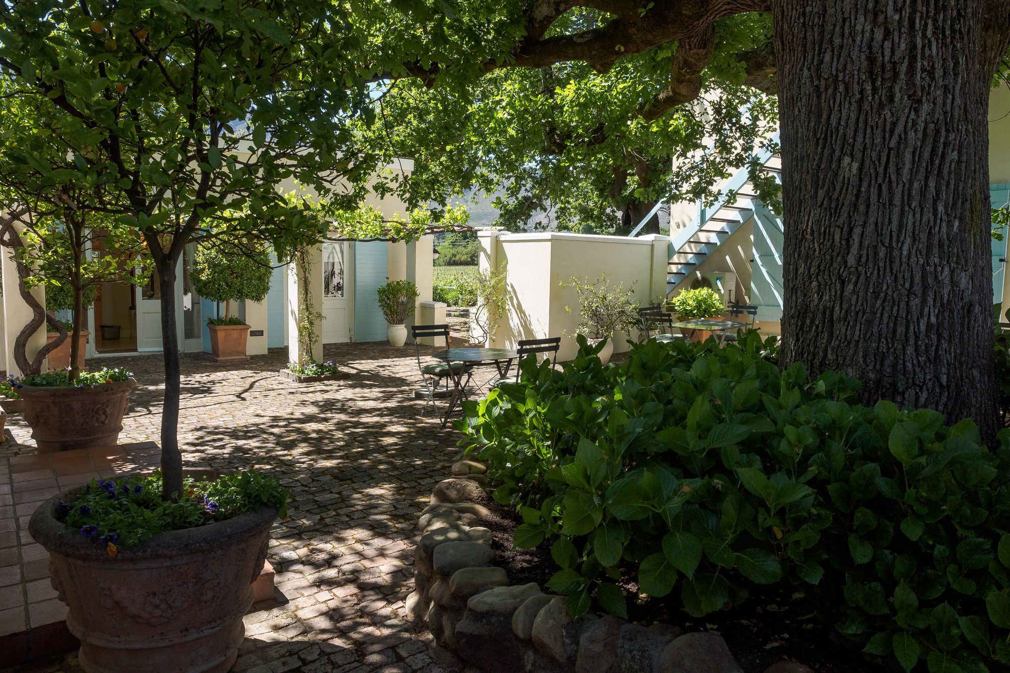 Auberge Clermont Franschhoek Zewnętrze zdjęcie